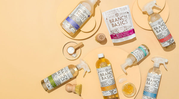 Is Branch Basics worth it?