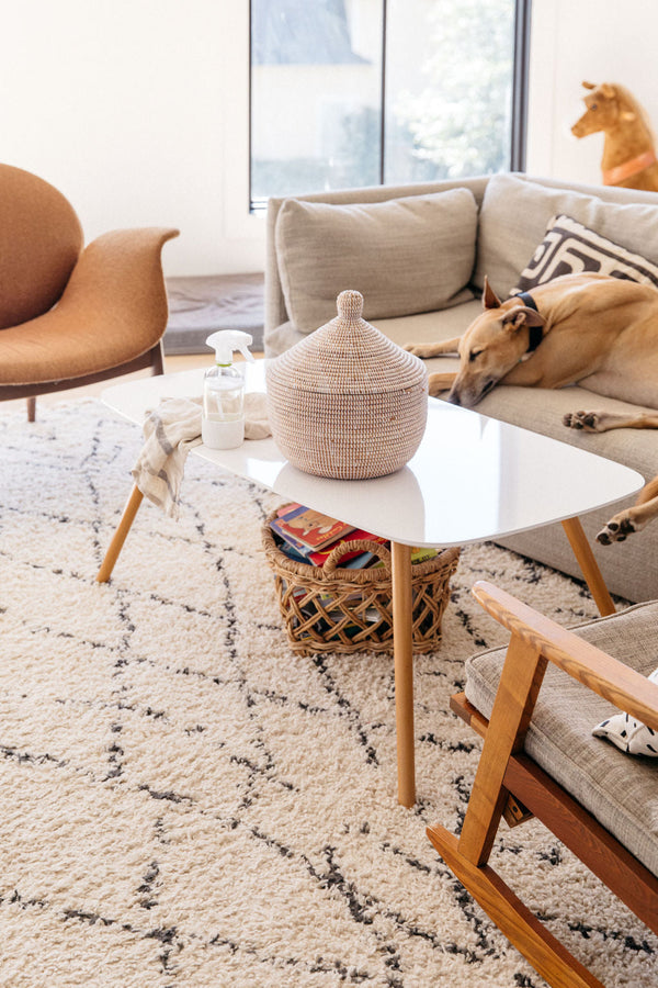 Our 5 Go-To Natural Stain Removers for Carpets