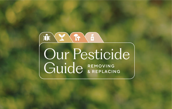 Pesticide Guide: How to replace toxic pesticides