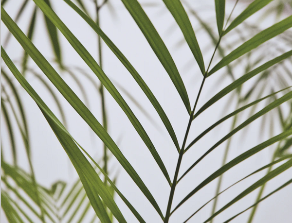 Are They Greenwashing? How to Decipher a Brand's Sustainability Claims