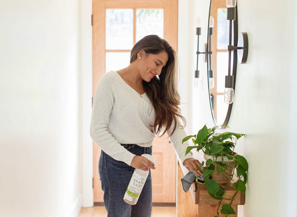 Home Cleaning Guide for Allergy Sufferers: 16 Helpful Tips
