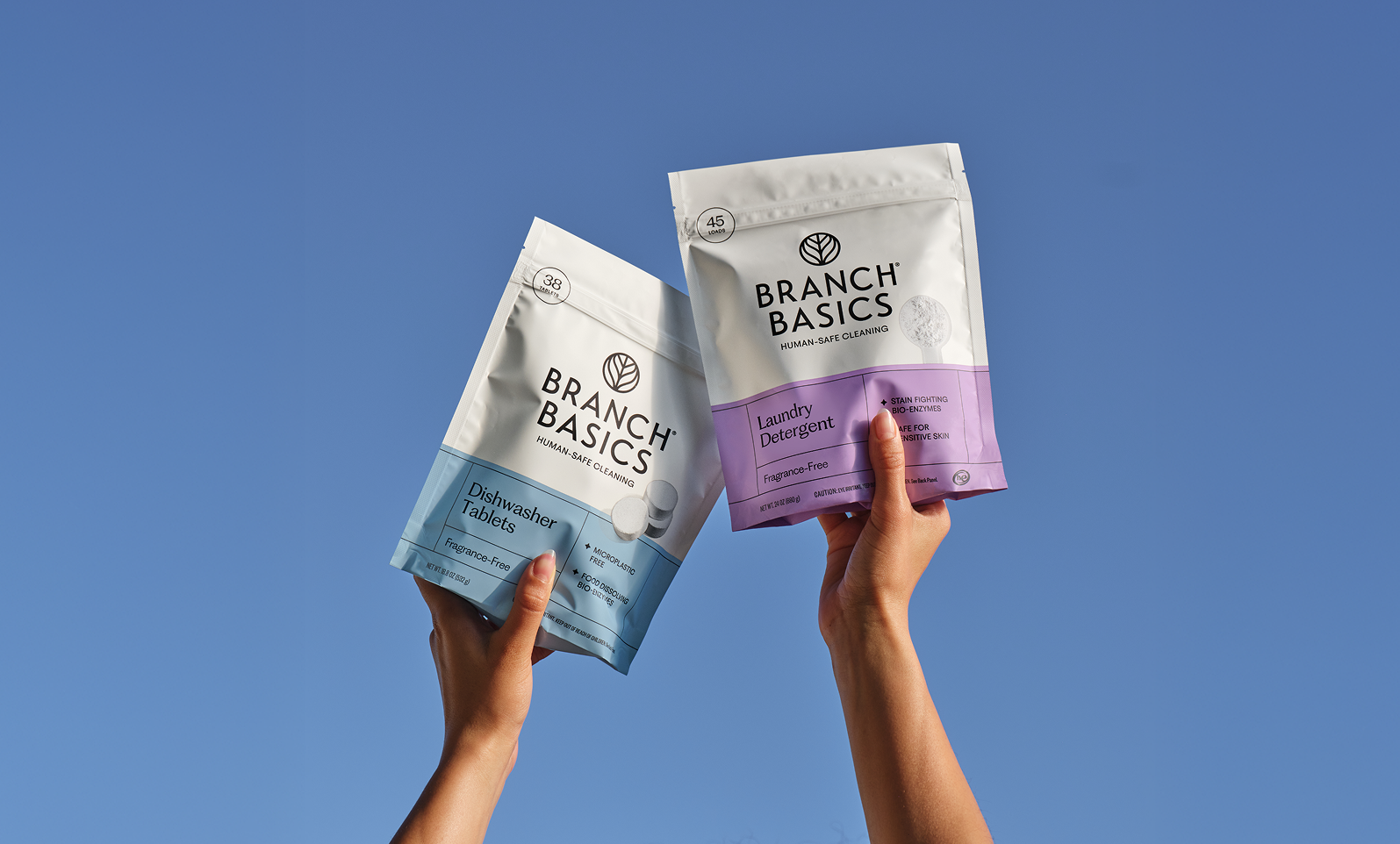 A New Look for Branch Basics