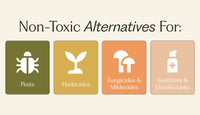 The Best Non-Toxic Pesticide Alternatives 