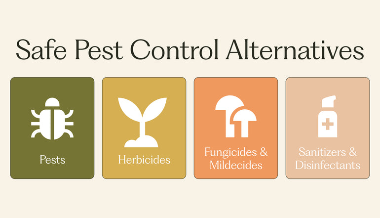 Our Guide: How To Replace Toxic Pesticides