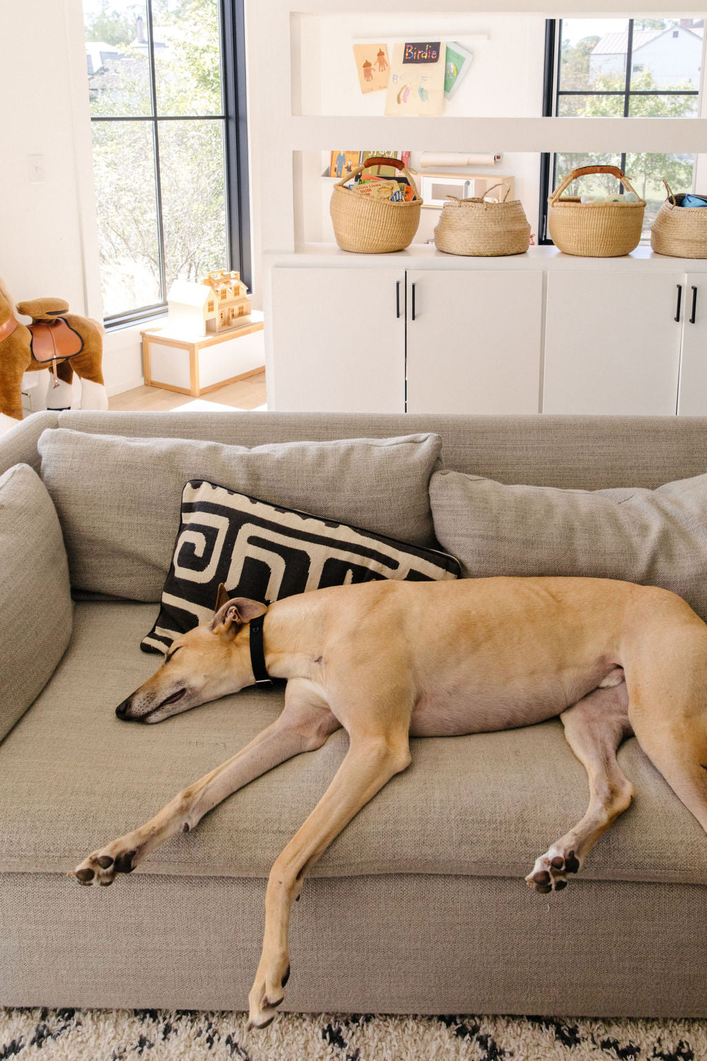 Dog lounging on the couch in a naturally cleaned home
