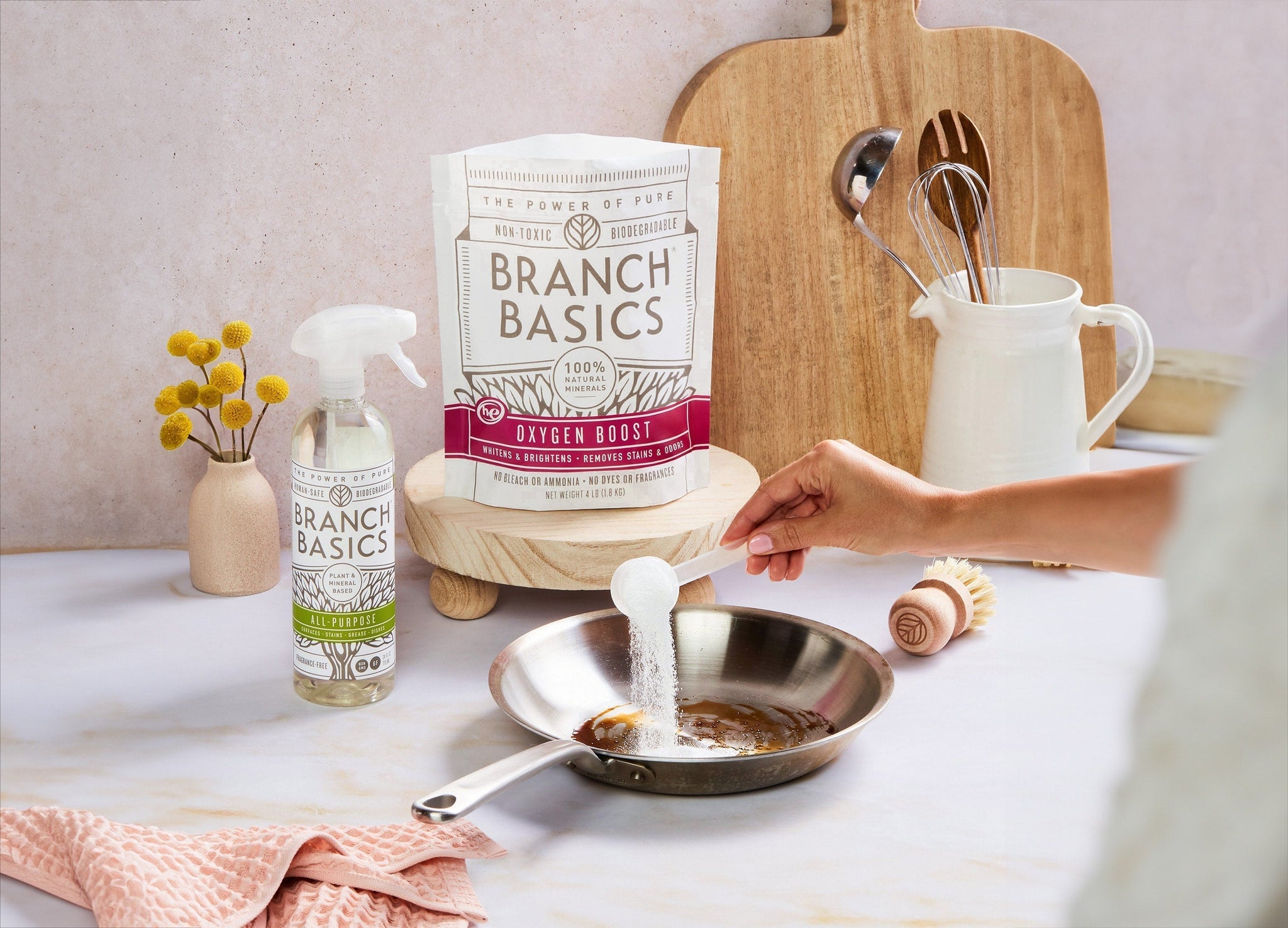 Basic Branch Cleaner Safe & Healthy Cleaning Hacks: 21 Unique Ways to Use Branch Basics