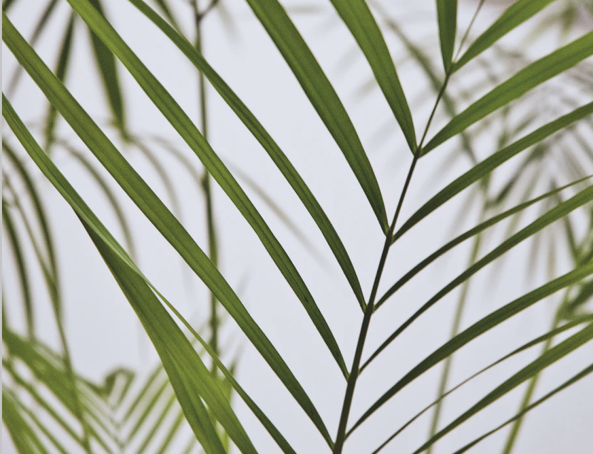 Are They Greenwashing? How to Decipher a Brand's Sustainability Claims