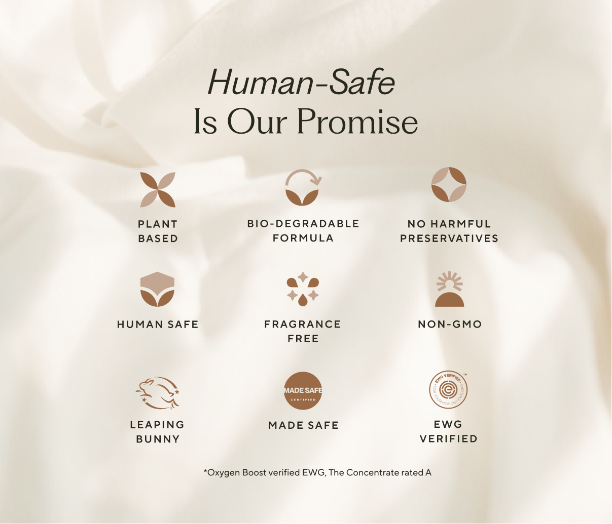 Embedded text that highlights Branch Basics's human-safe promises, including: plant-based, biodegradable, no harmful preservatives, human-safe, fragrance-free, and non-GMO. - View 10