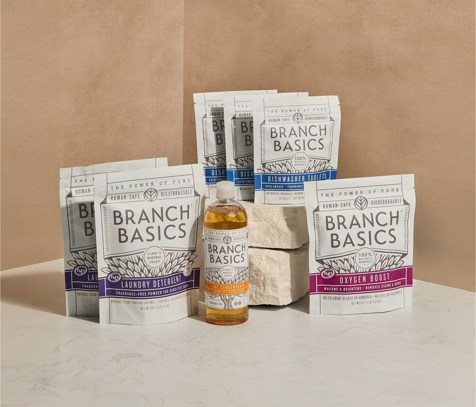 Branch Basics, editorial hero still from official-site harvest (2 of 3)