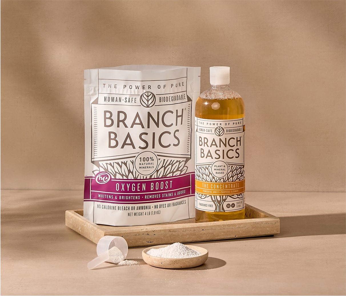 Branch Basics, editorial hero still from official-site harvest