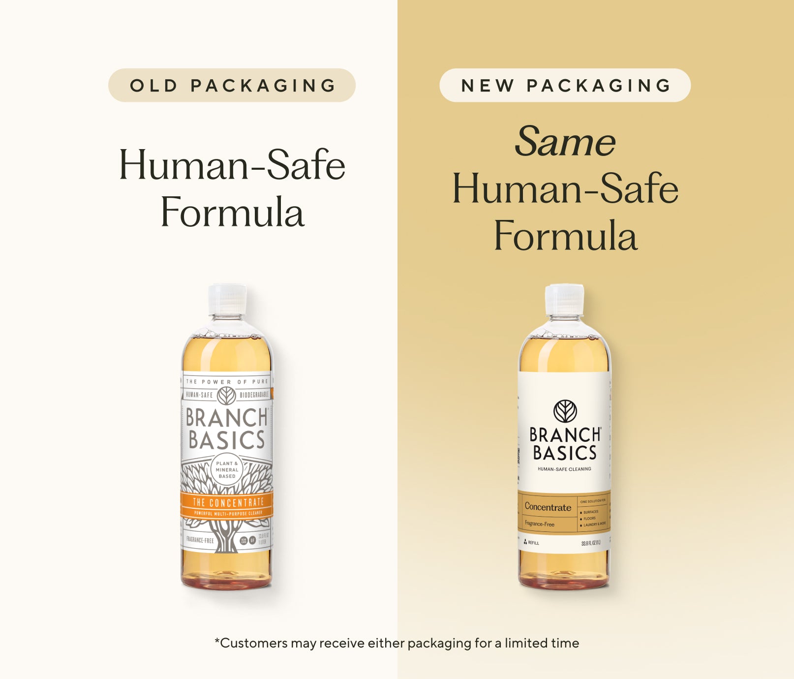 The Concentrate - View 2
