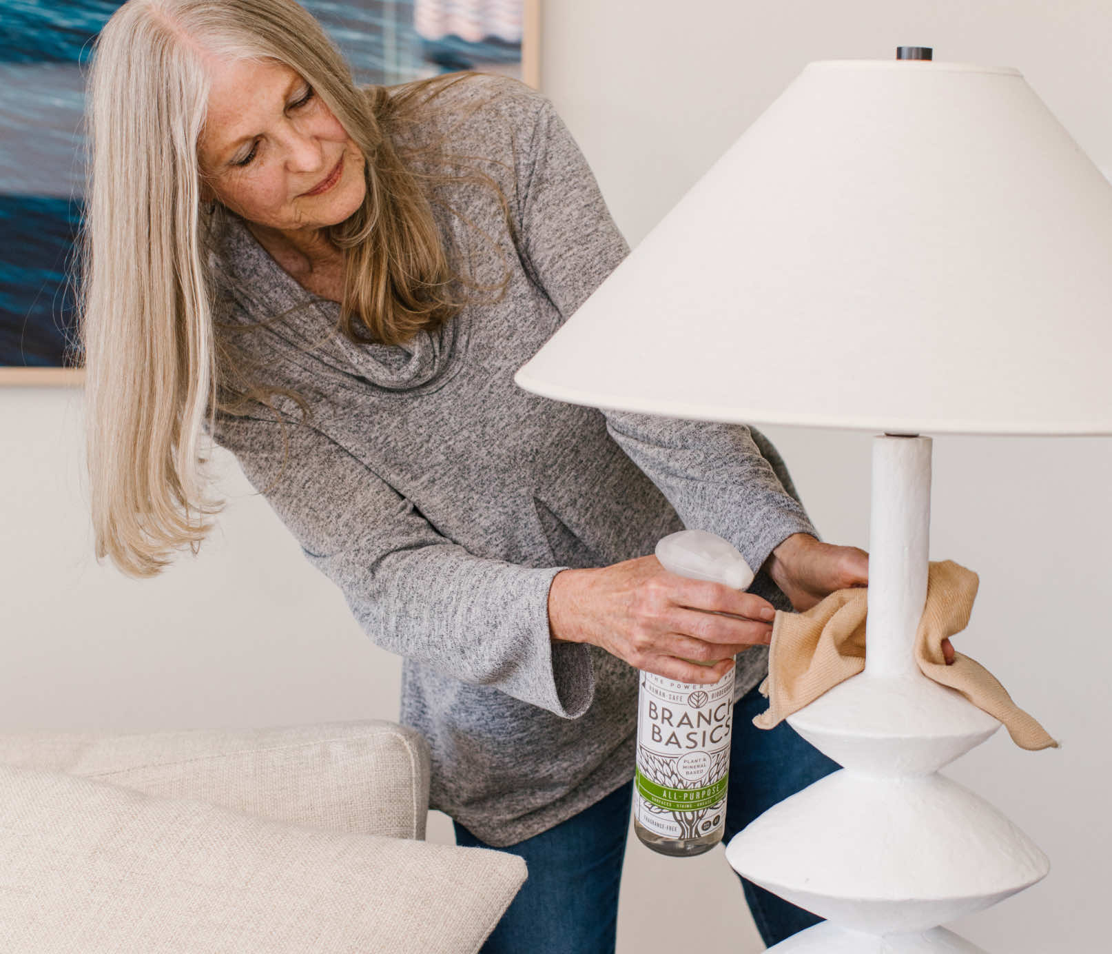 A person using the refillable Plastic All-Purpose bottle and a cloth to clean furniture in their home. - View 4
