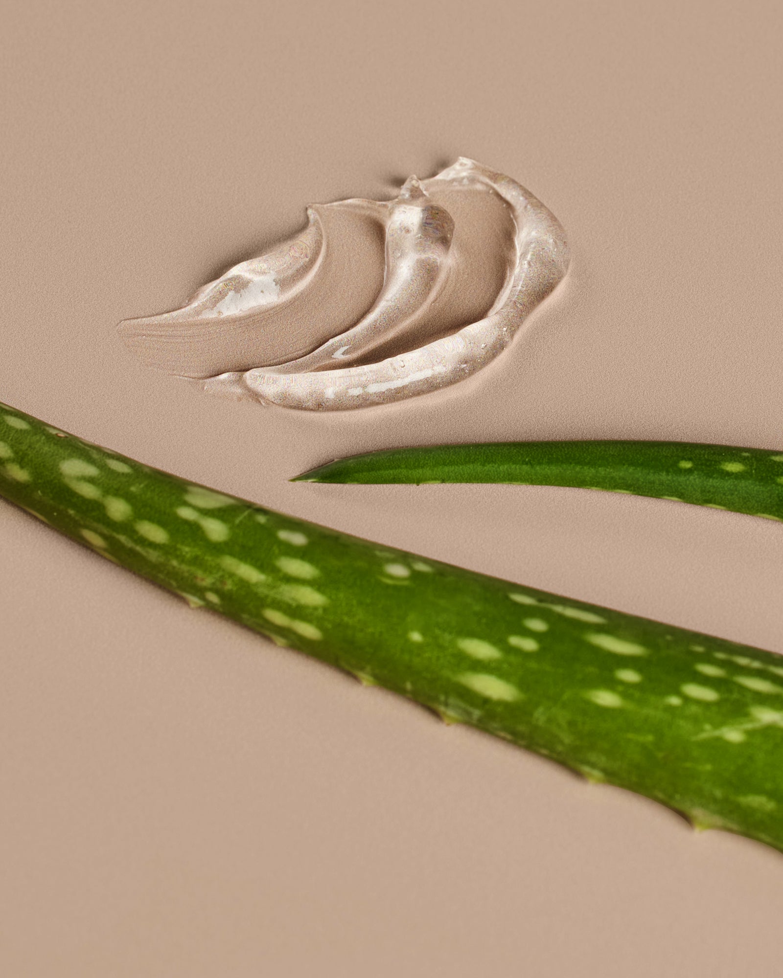 A stalk of aloe vera and gel from aloe vera, positioned against a neutral background. - Card 2