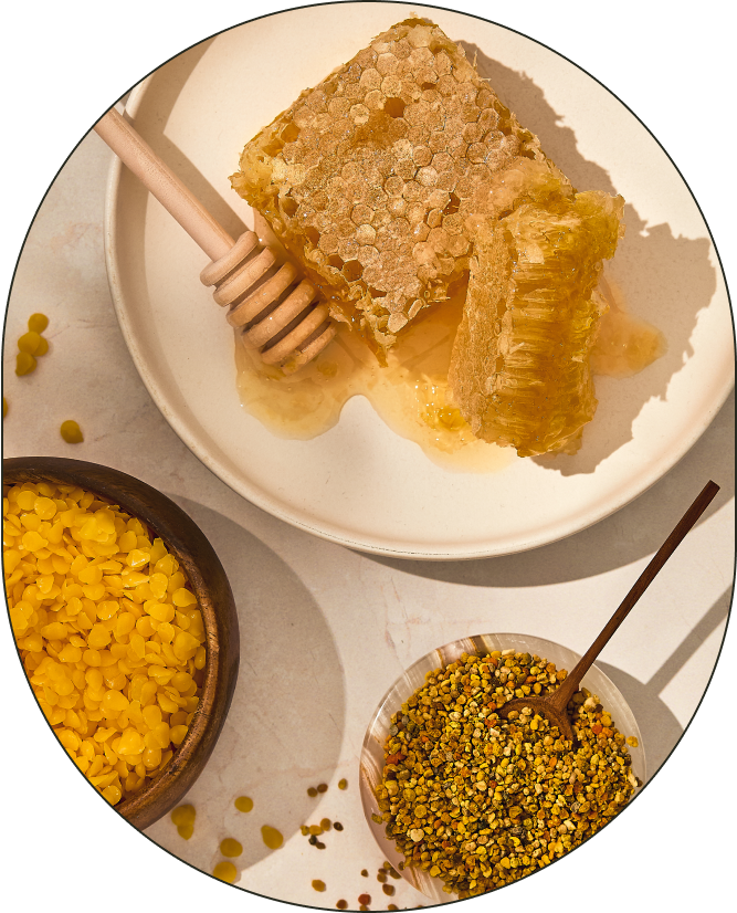 A plate containing honeycomb, honey, and 100% pure beeswax, positioned against a neutral background. - Card 1