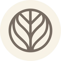 Circular Branch Basics logo on a cream-colored background