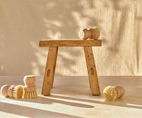 Multiple Natural Scrub Brushes displayed on a neutral surface, with a single Brush elevated on a wooden stool. - Thumbnail View 4

