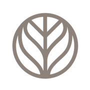 Branch Basics logo